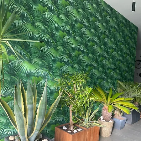 Morynapartments *